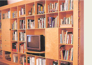 Wooden bookshelf containing various books and an old-style crt television.