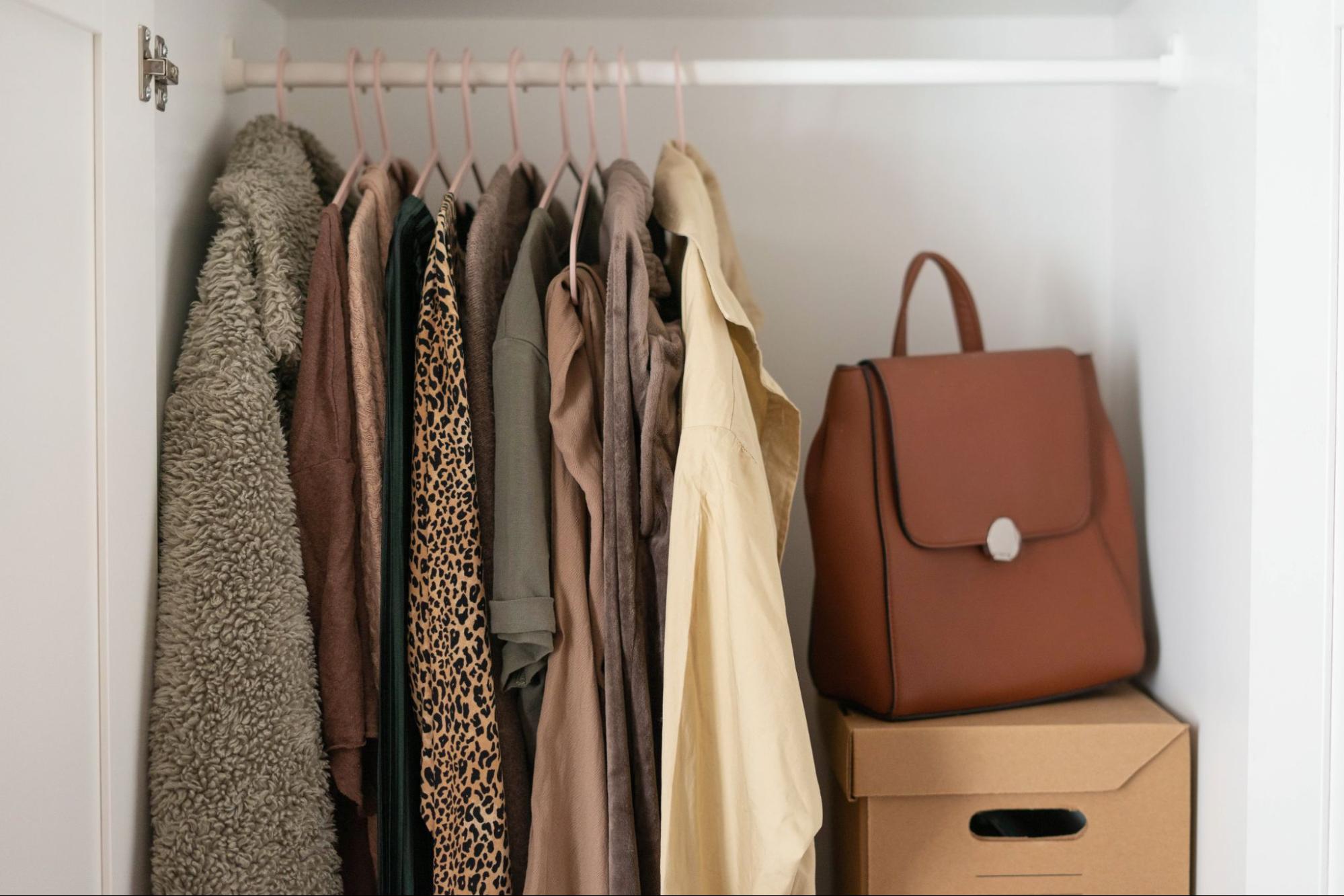 A closet with clothes hanging on pink hangers, a brown backpack on top of a cardboard box, and a furry coat on the left side.